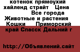 котенок прямоухий  хайленд страйт › Цена ­ 10 000 - Все города Животные и растения » Кошки   . Приморский край,Спасск-Дальний г.